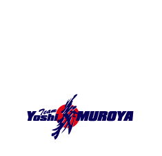 エアショーチーム Team Yoshi MUROYA、Air Bandits